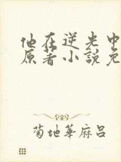 他在逆光中告白原著小说免费阅读