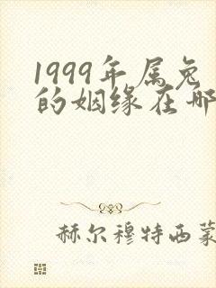 1999年属兔的姻缘在哪