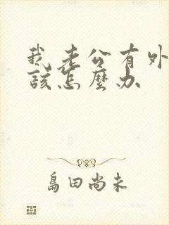 我老公有外遇我该怎么办封面