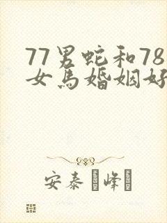77男蛇和78女马婚姻好吗?封面