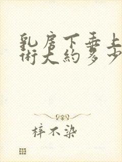 乳房下垂上提手术大约多少钱