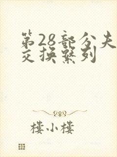 第28部分夫妇交换系列封面