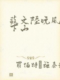 苏文陆晚风阎王下山封面