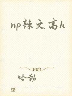 np辣文高h