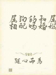 属狗的和属马的相配吗婚姻