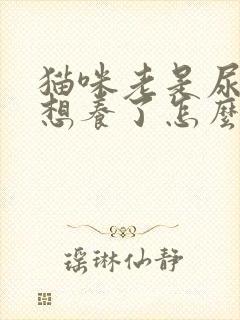 猫咪老是尿闭不想养了怎么办封面