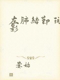 左肺结节 斑点影封面