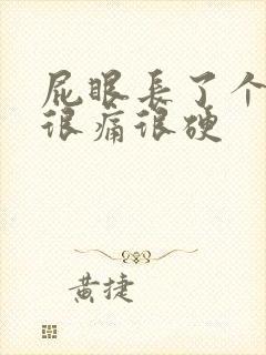 屁眼长了个疙瘩很痛很硬封面