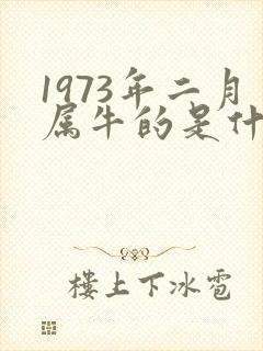 1973年二月属牛的是什么命