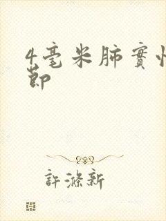 4毫米肺实性结节