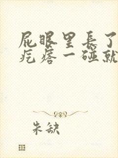 屁眼里长了个硬疙瘩一碰就很疼封面