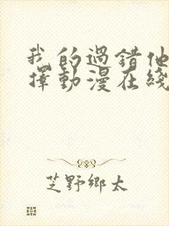 我的过错他的选择动漫在线观看全集