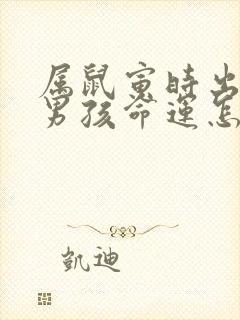 属鼠寅时出生的男孩命运怎么样