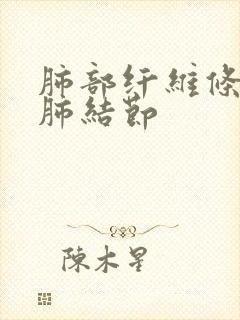 肺部纤维条索影肺结节封面