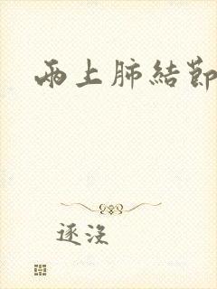 两上肺结节钙化