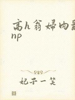 高h翁妇肉乱文np封面