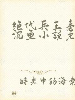 绝代兵王秦飞苏沉鱼小说免费阅读