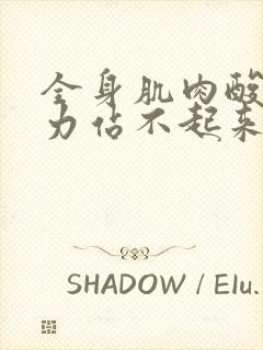 全身肌肉酸痛无力站不起来