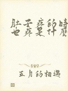 肚子疼的时候腰也疼是什么原因