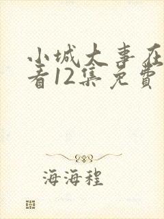 小城大事在线观看12集免费