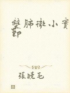 双肺微小实性结节