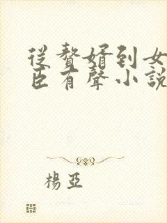 从赘婿到女帝宠臣有声小说完整