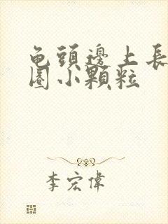 龟头边上长了一圈小颗粒