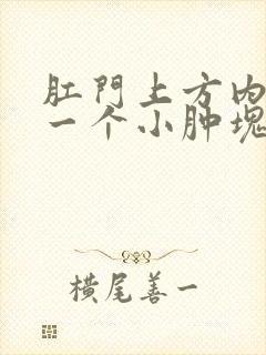 肛门上方内部有一个小肿块 按压疼痛