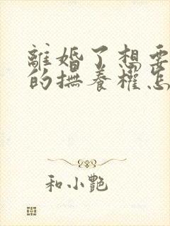 离婚了想要孩子的抚养权怎么办