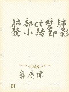 肺部ct双肺多发小结节影