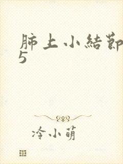 肺上小结节1.5封面