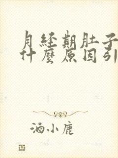 月经期肚子疼是什么原因引起的封面