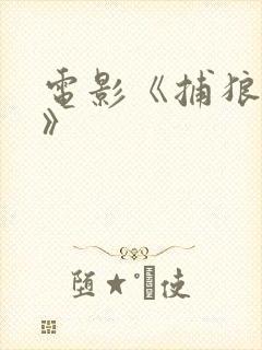 电影《捕狼行动》封面