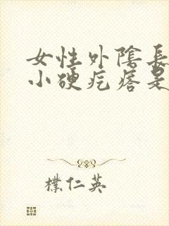 女性外阴长了个小硬疙瘩是什么原因