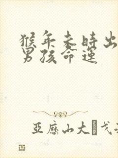 猴年未时出生的男孩命运