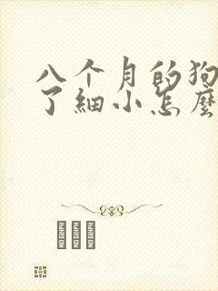 八个月的狗狗得了细小怎么办怎么治疗封面