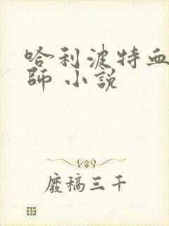 哈利波特血脉巫师 小说