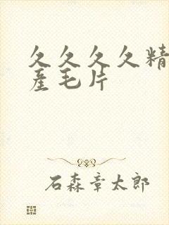 久久久久精品国产毛片