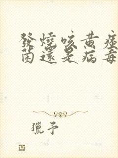 发烧咳黄痰是细菌还是病毒