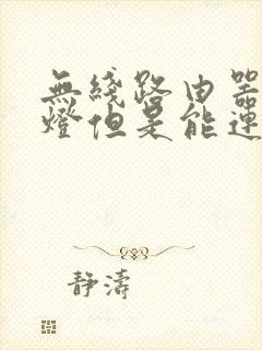 无线路由器亮红灯但是能连上无线不能用封面