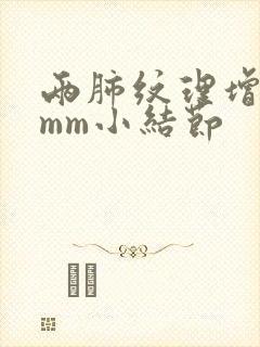 两肺纹理增多4mm小结节