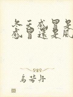 冬天感冒是风热感冒还是风寒感冒