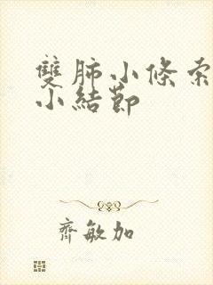 双肺小条索及微小结节