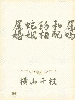 属蛇的和属兔的婚姻相配吗