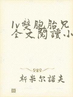 1v双胞胎兄弟全文阅读小说