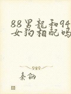 88男龙和94女狗相配吗封面