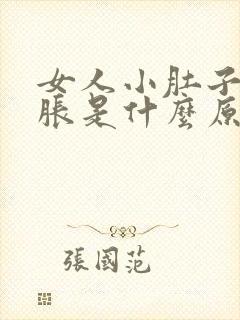 女人小肚子有点胀是什么原因