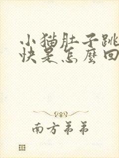 小猫肚子跳的很快是怎么回事