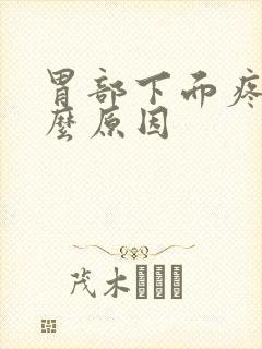 胃部下面疼是什么原因封面