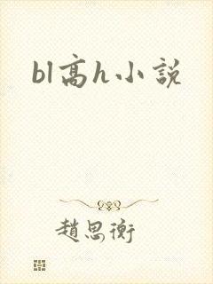 bl高h小说封面
